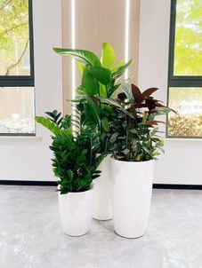 宁波镇海绿化养护哪家出色？答案就在此！